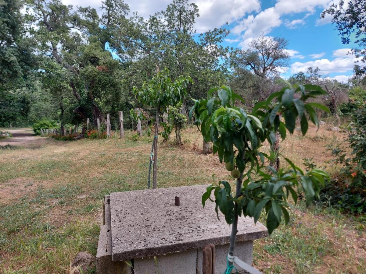 Agriturismo Pranu Sorgono Eksteriør billede