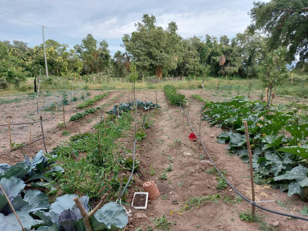 Agriturismo Pranu Sorgono Eksteriør billede