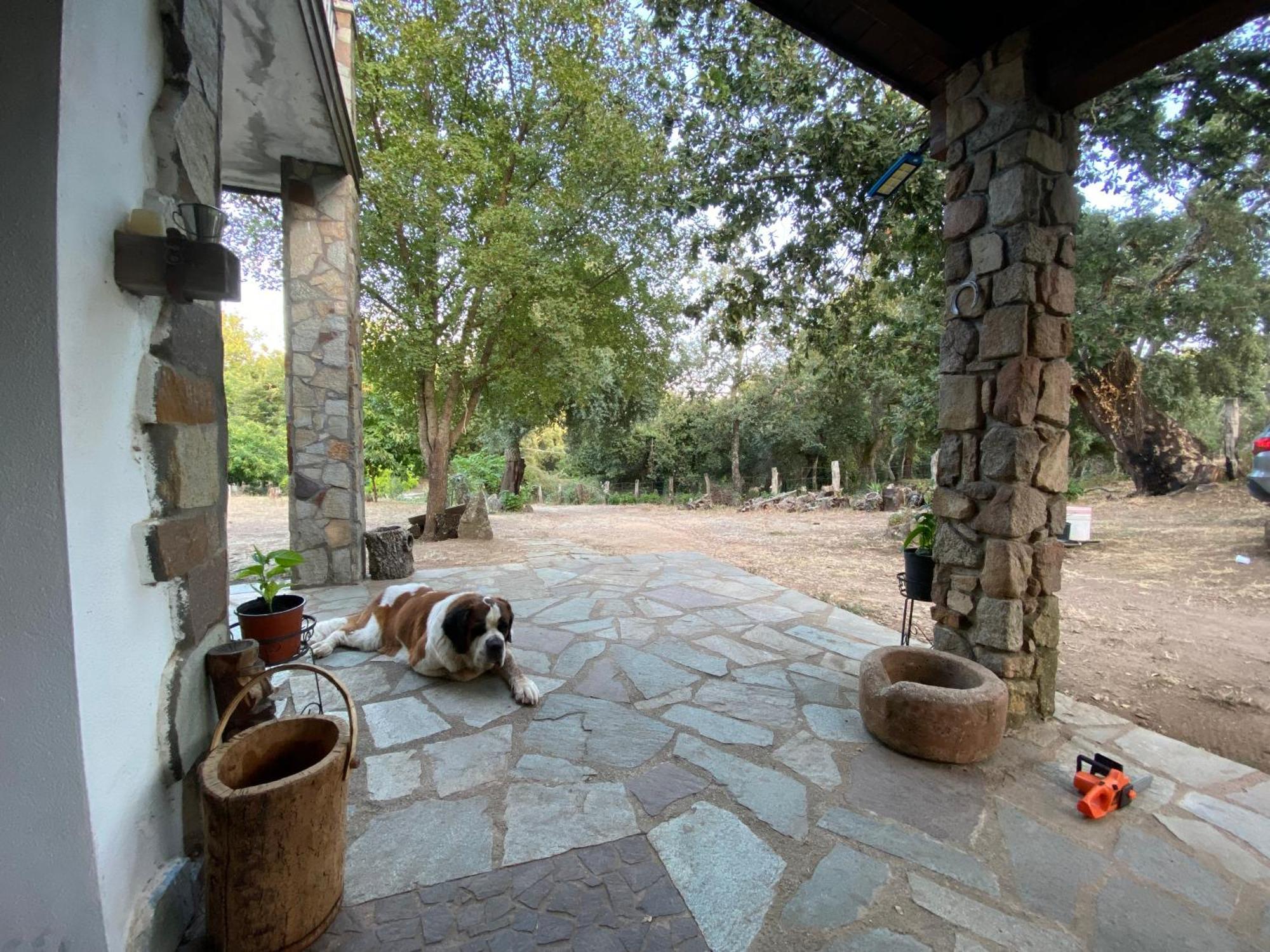 Agriturismo Pranu Sorgono Eksteriør billede