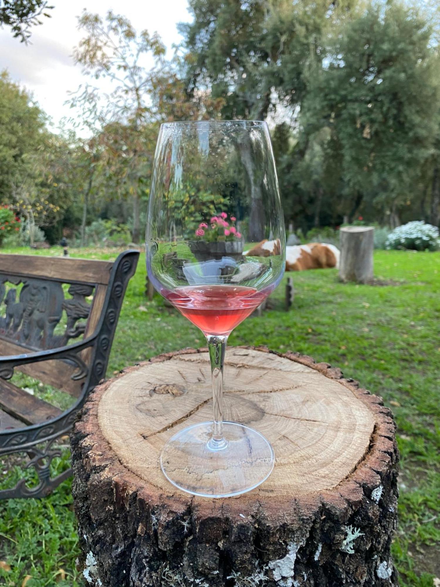 Agriturismo Pranu Sorgono Eksteriør billede